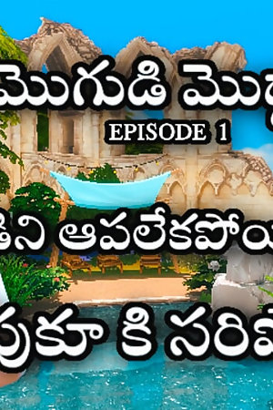 Telugu housewife sex with her husband but unsatisfied with her husband