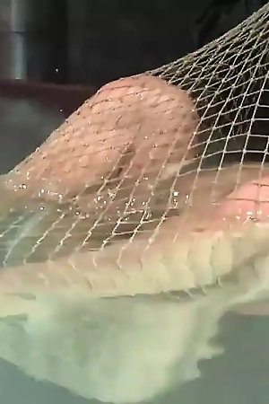 Keeani Lei - Returns to Waterbondage